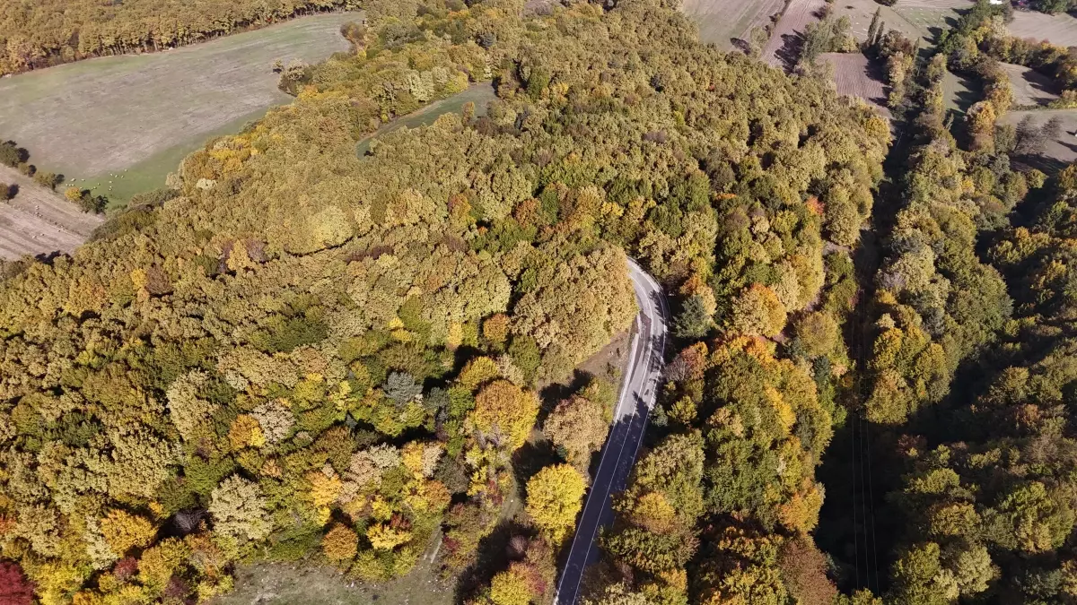 boluda sonbahar manzarasi B8Cj1ctG.jpg