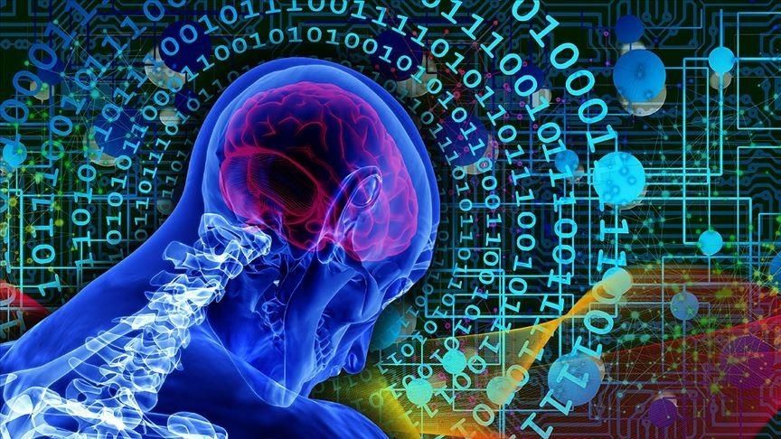 İnsanın beyin dokularıyla çalışan bilgisayarlar geliyor