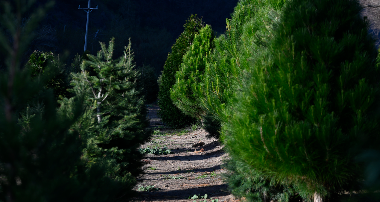 Sayılı günler kaldı: Vatandaş kapış kapış almaya başladı