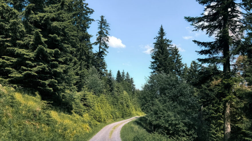 Kara Orman’da Köyler Otel Konseptine Geçiyor: Fırınlarda Kahvaltı Keyfi