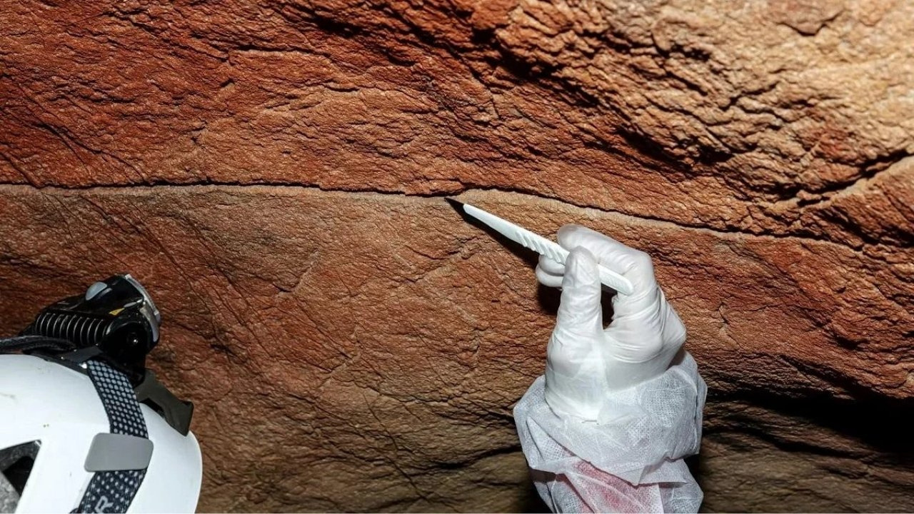 Bilim dünyası bu keşifle çalkalanıyor: Binlerce yıllık insan DNA’sı mağaralarda bulundu